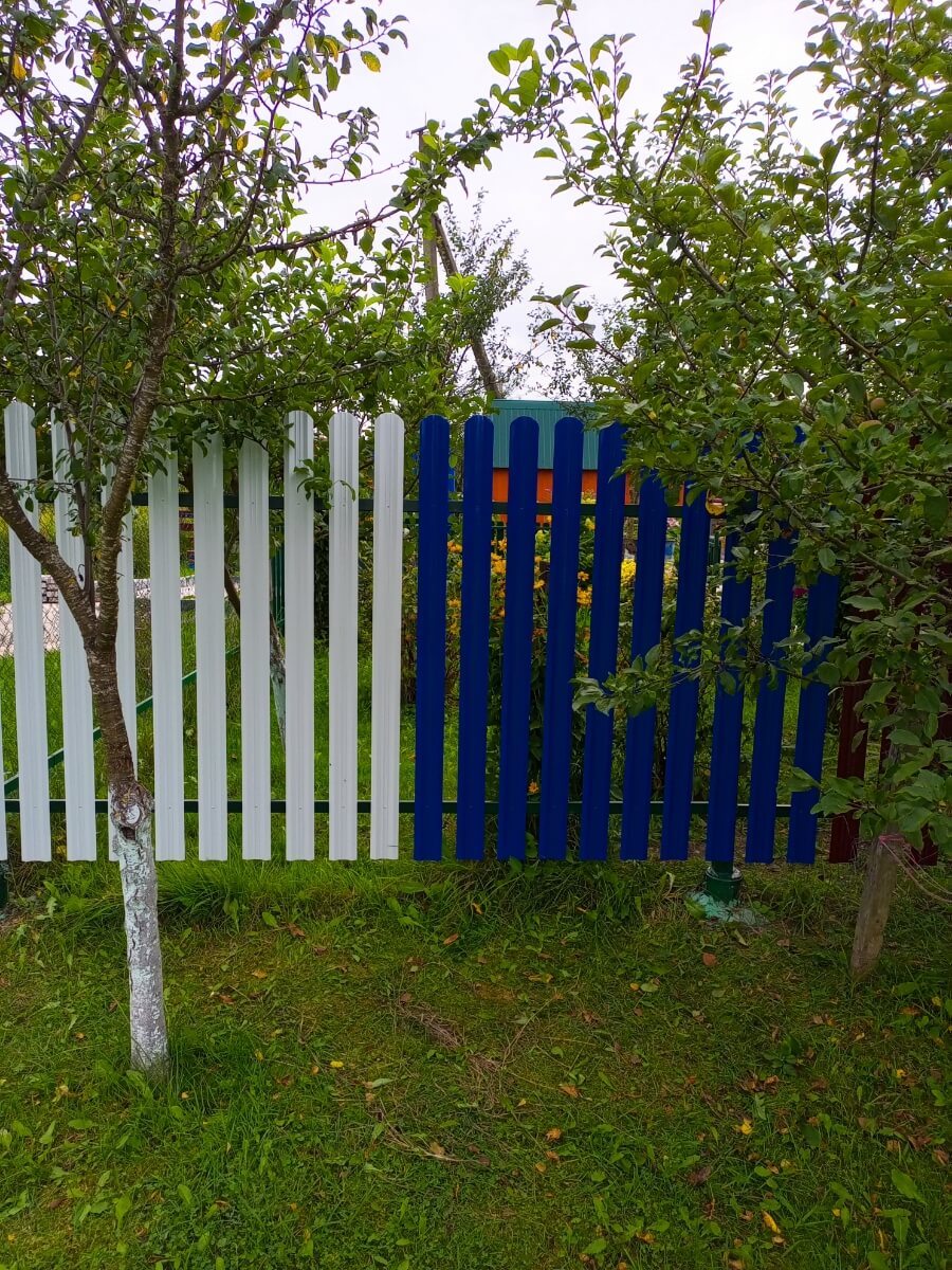 Трехцветный заборчик из штакетника ЭКО-М высотой 1,5 м. RAL5005/5005 Синий Сигнал, RAL 9003/9003 Белый, RAL3005/3005 Красное Вино фото 5 в Сочи